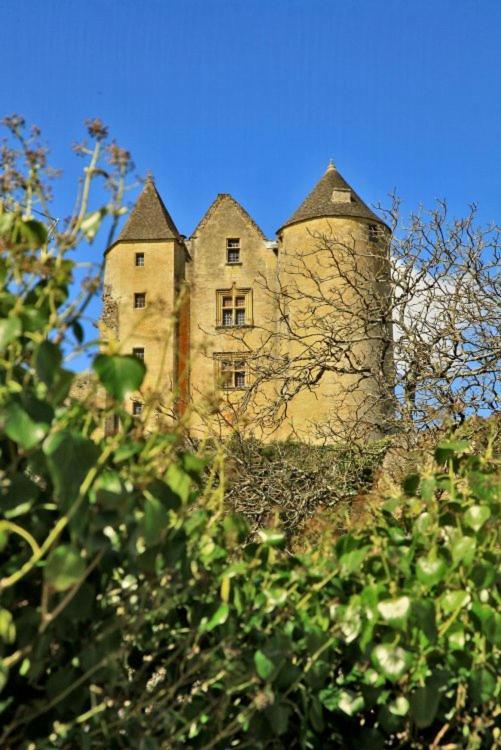 Salignac Eyvigues Petite Maison En Pierre Au Coeur Du Perigord Noir מראה חיצוני תמונה