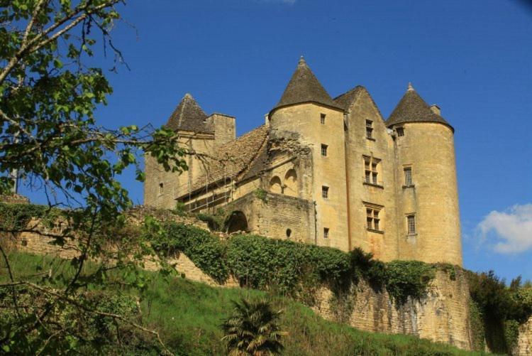 Salignac Eyvigues Petite Maison En Pierre Au Coeur Du Perigord Noir מראה חיצוני תמונה