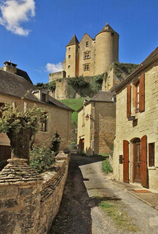 Salignac Eyvigues Petite Maison En Pierre Au Coeur Du Perigord Noir מראה חיצוני תמונה