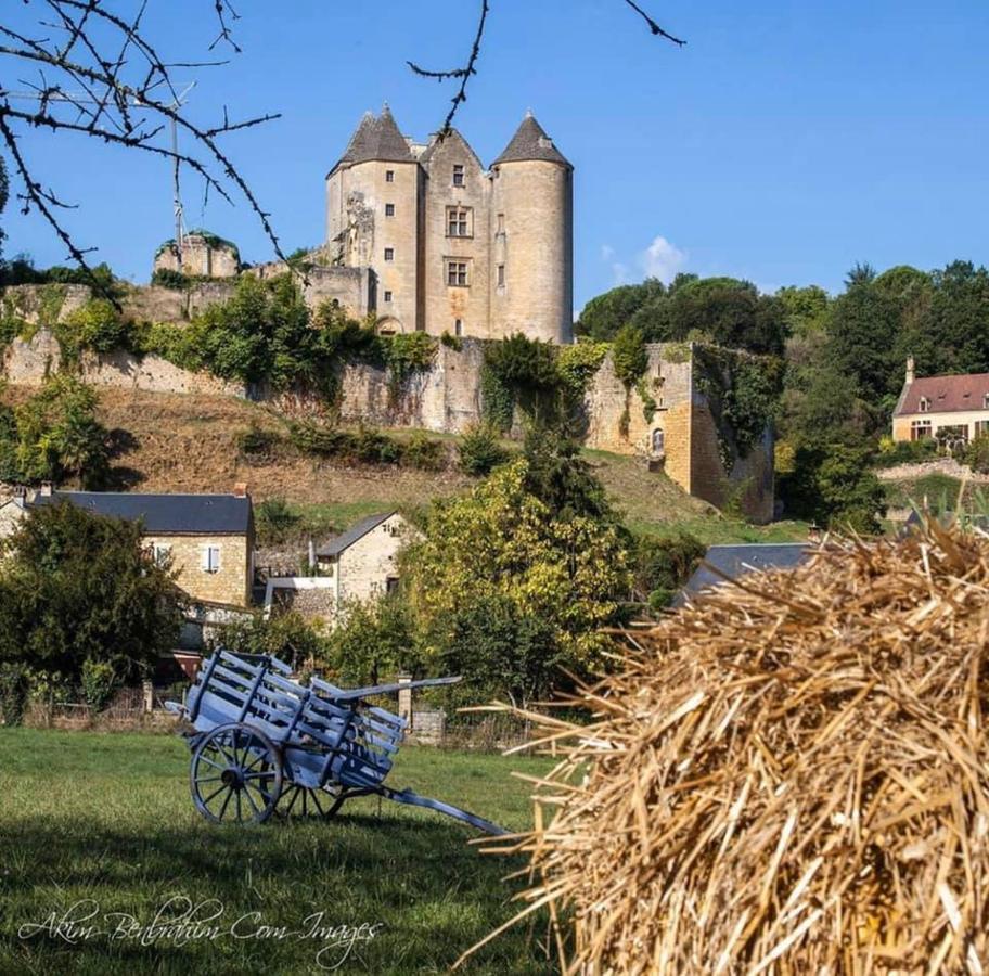 Salignac Eyvigues Petite Maison En Pierre Au Coeur Du Perigord Noir מראה חיצוני תמונה